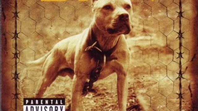 DMX - Dogs Out