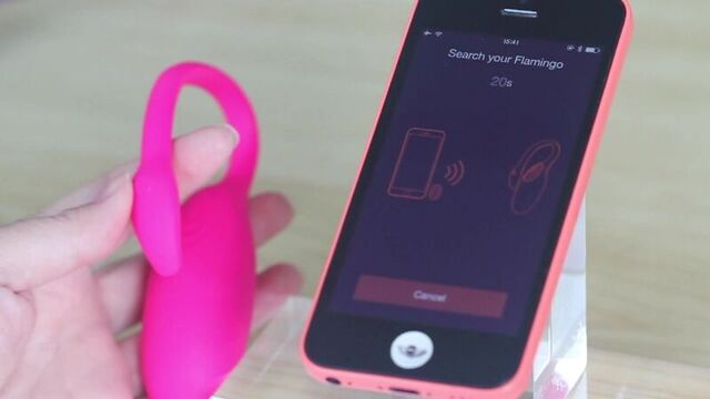 Smart-вибратор и тренажер Кегеля "Flamingo" в Салоне "ИНТИМ"!