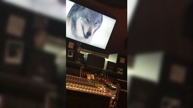 Lily Allen - Family Man (Snippet)
