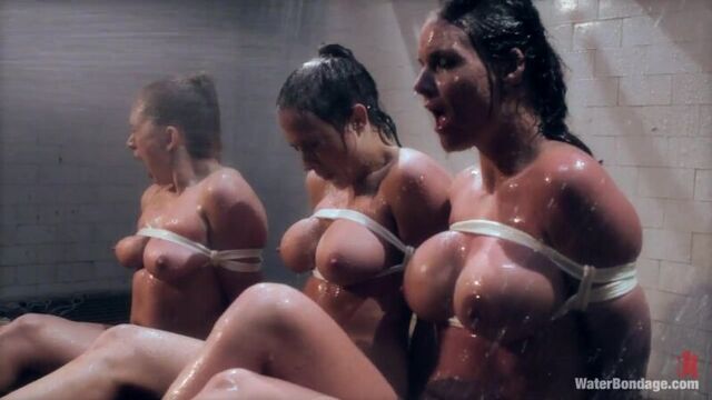 Bobbi Starr, Phoenix Marie, Lea Lexis,Chanel Preston (Porno House)
