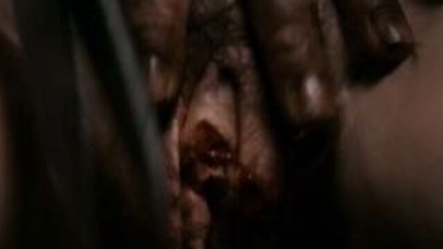 голая Шарлотта Генсбур (Charlotte Gainsbourg) - Антихрист / Antichrist (2009)