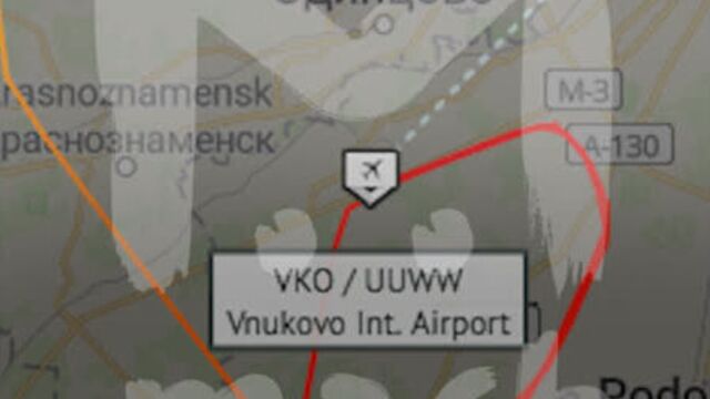 Во Внуково самолёт не смог приземлиться из-за собаки