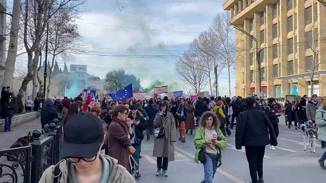 #СВО_Медиа #Дмитрий_Василец В Тбилиси опять протестуют иноагенты против закона об иноагентах.