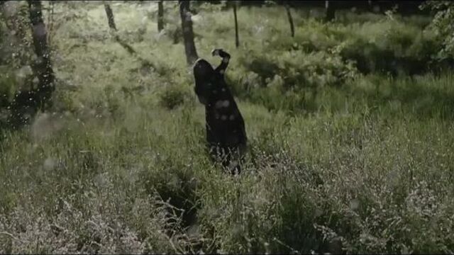 Loreen - Euphoria