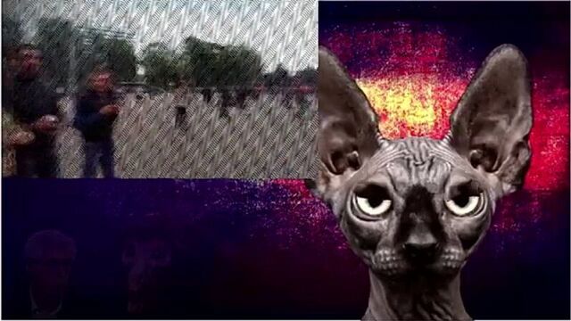 Кто кого куда втянул, кто чего когда нюхнул Кот Костян