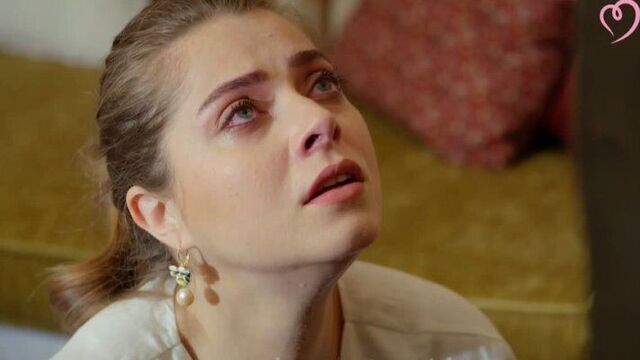 Решение принято!|Ветреный|33 серия