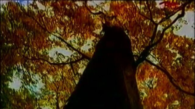 ДДТ - Осенняя (ТЕТ) Biz-TV Украина