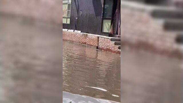 Видео от ЧП Омск