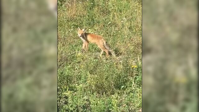 Поездка на Водопады Шинок