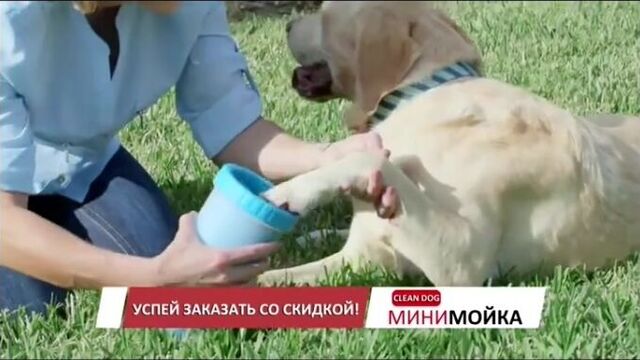 лапомойка для собак