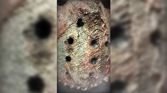 Маска Джейсона Вурхиза