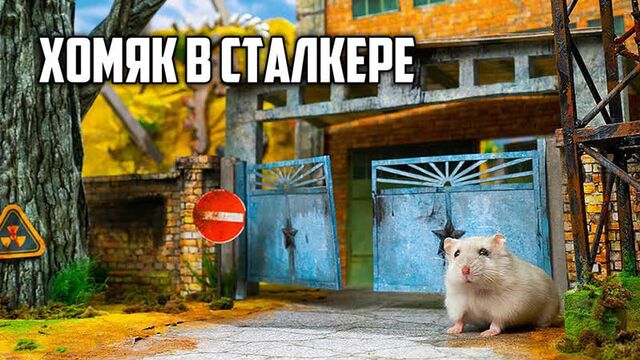Хомяк Сталкер в Лабиринте Сердца Чернобыля