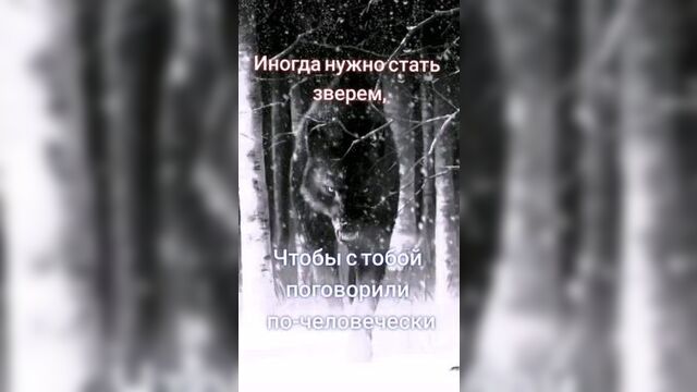 ssstik.io_1679521945353.mp4