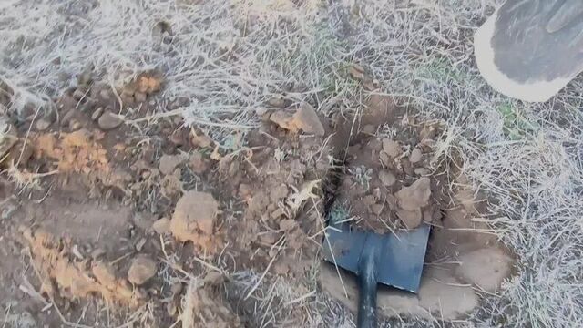 Один день глазами поисковика