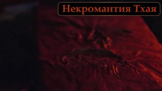 Некромантия Тхая 【Baldur's gate 3】