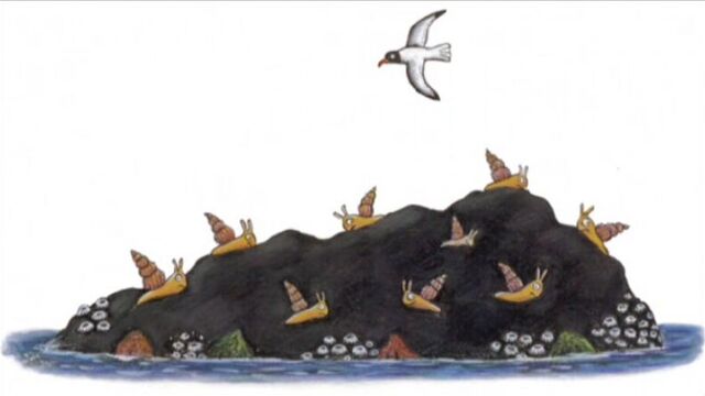 CBeebies Bedtime Stories: Sophie Ellis-Bextor - The Snail and the Whale