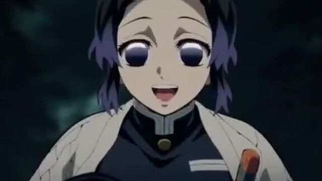 Demon Slayer: Kimetsu no Yaiba | Истребитель демонов вайн |Kyoujurou Rengoku| Tengen Uzui| Shinobu Kochou| Iguro Obanai| Giyu