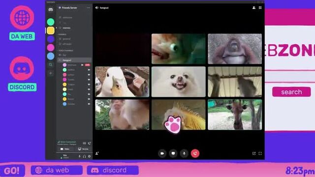Discord Server Video Chat