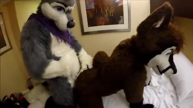 Gay Furry Dreams 24