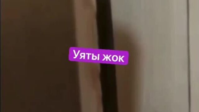 Койчу братан, второе видео