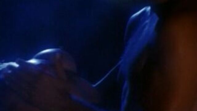 Nikki Fritz - Indecent Behavior 2