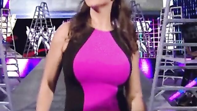 Stephanie Mcmahon nude