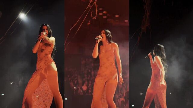 Dua Lipa nude