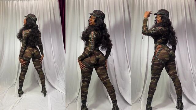 Megan Thee Stallion nude