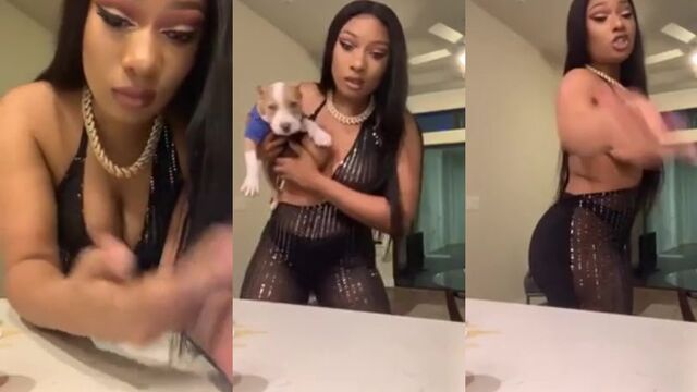 Megan Thee Stallion nude