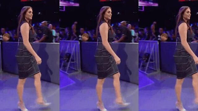 Stephanie Mcmahon nude