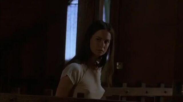 Katherine Waterston nude scenes in The Babysitters 2007 — Ян