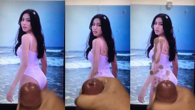The hot Vietnamese actress gets her pussy cumtributed by a passionate guy