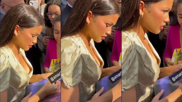 Zendaya suffers from a wardrobe malfunction and exposes her nips during a performance