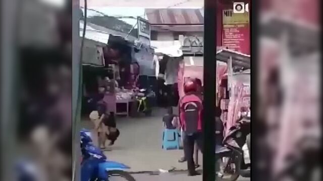 Kumpulan_Video_Wong_Edan_Kui_Bebas_Terbaru_Terlengkap_Ngakak_Lucu_Sampe_Nangis(720p).mp4