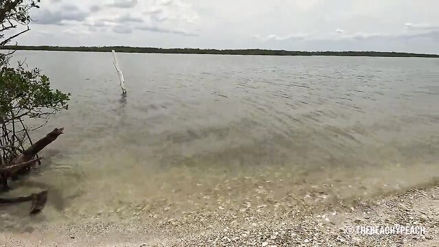 Amateur PAWG gets fucked on the beach with a webcam