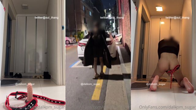 Korean TS Dalkom Sugar gets fucked and cummed in scat