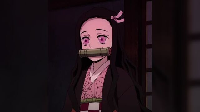 • zenitsu & nezuko •