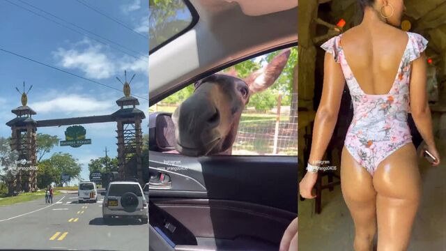 Colombian girl Anna Arango shows her sexy ass on Instagram while dancing