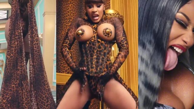Cardi B and Megan Thee Stallion’s famous PMV edit clip