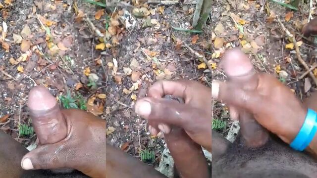 A couple has sex on the hills with a stunning view in the forest