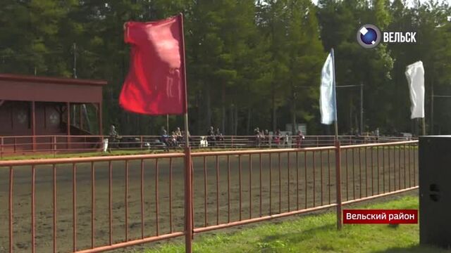 Городское телевидение. Программа «В объективе Вельск». Эфир от 11.09.2020