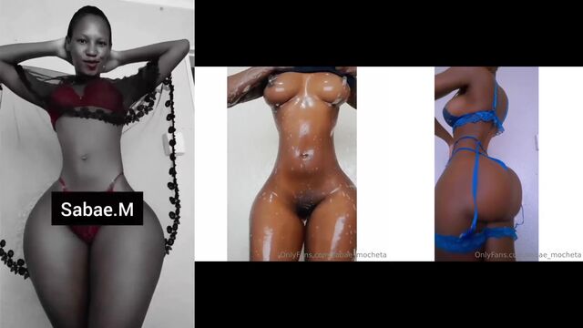Ebony babe shakes her big booty and twerks for the camera