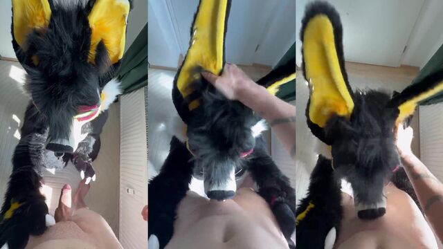 A big ass white girl enjoys intense anal sex