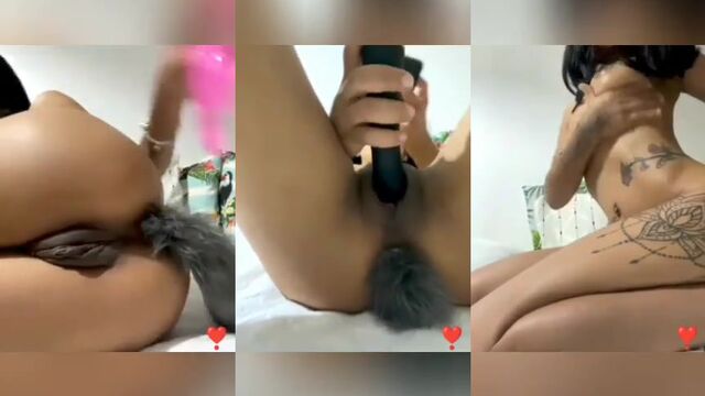 Live anal plug updates with the hottest action!