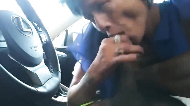 Homeless guy became a rock hound after getting kicked out of the bar