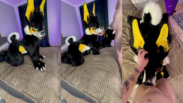 A white girl has sex with her boyfriend in a furry costume