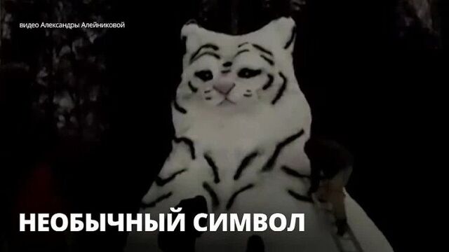 В Гатчинском парке поселился снежный тигр