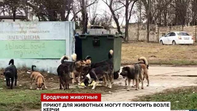 Новости Керчи 24 ноября