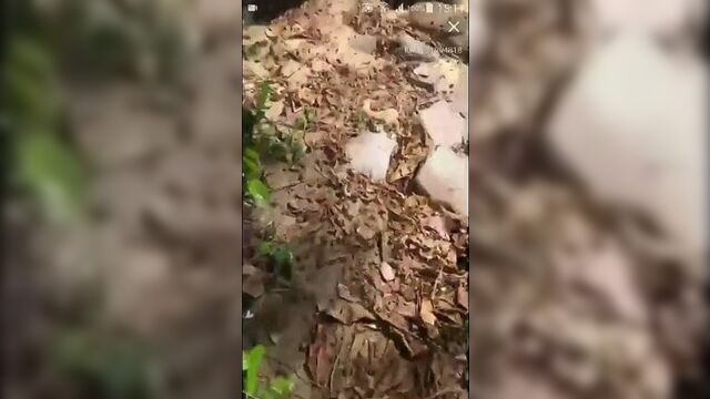 น้องบีม Out Door เยฝรั่ง