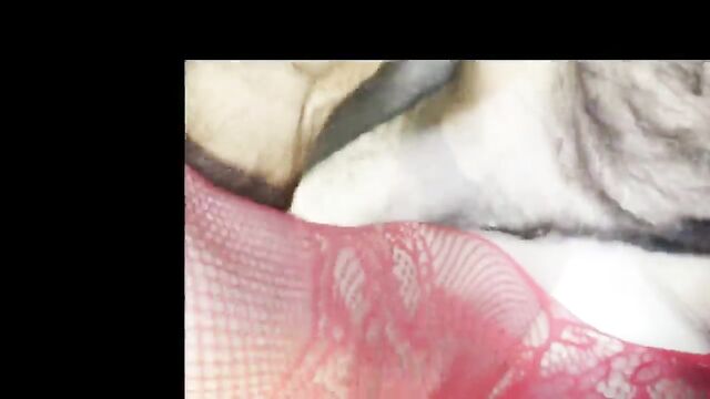 A bunch of old men cum on the face of a slut